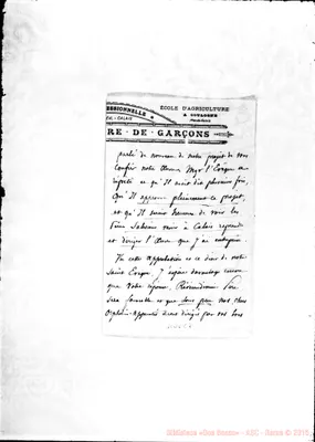 Fotogramma E 8