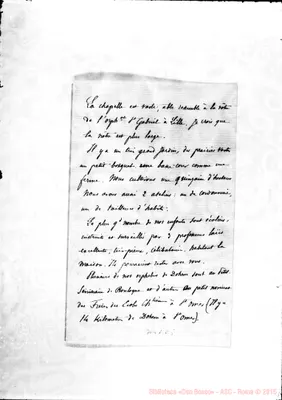 Fotogramma C 5