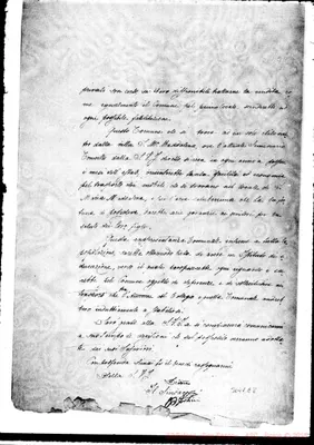 Fotogramma E 8