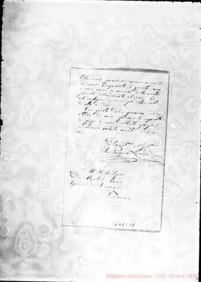 Fotogramma C 11