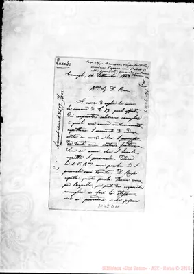 Fotogramma D 11