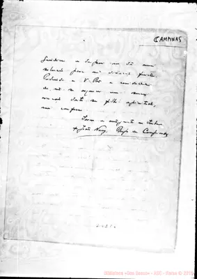 Fotogramma E 8