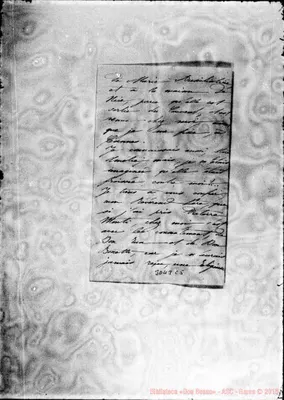 Fotogramma C 5