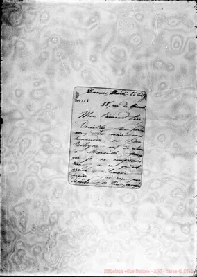 Fotogramma C 8