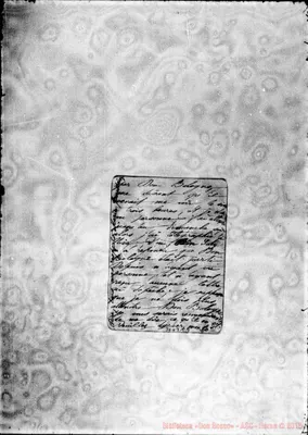 Fotogramma C 9