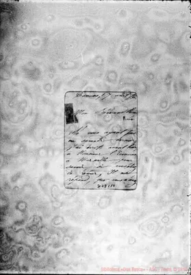 Fotogramma C 10