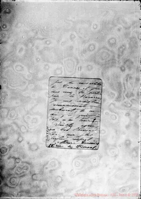 Fotogramma C 11