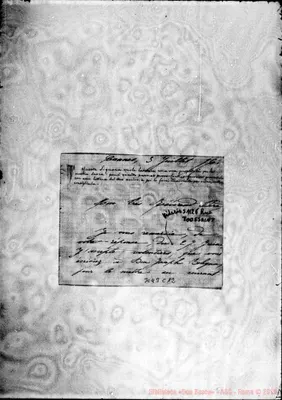 Fotogramma C 12