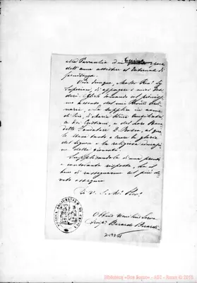 Fotogramma D 11