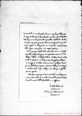 Fotogramma C 7