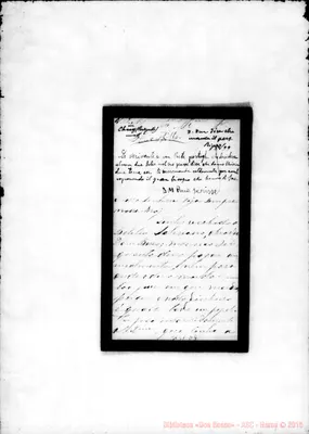 Fotogramma D 9
