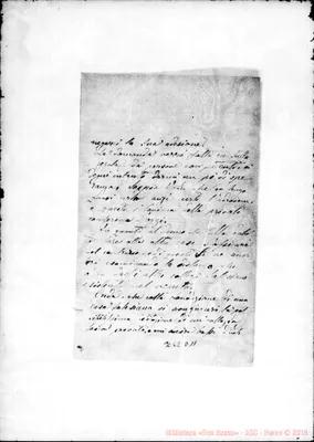 Fotogramma D 11