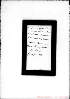 Fotogramma D 11