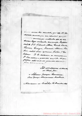 Fotogramma C 8