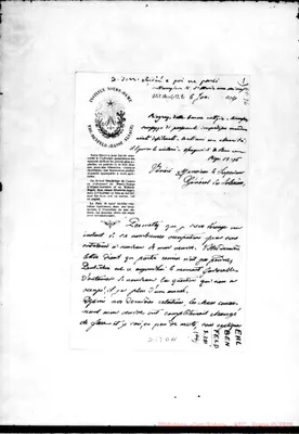Fotogramma D 11