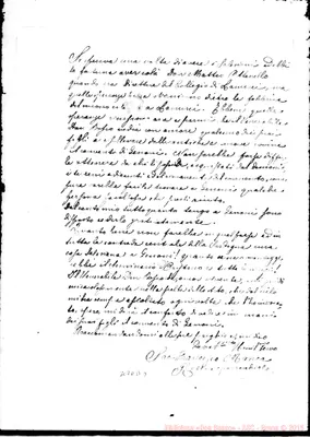 Fotogramma D 9