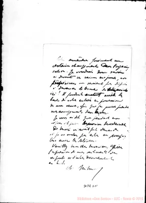 Fotogramma D 11