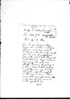 Fotogramma D 8
