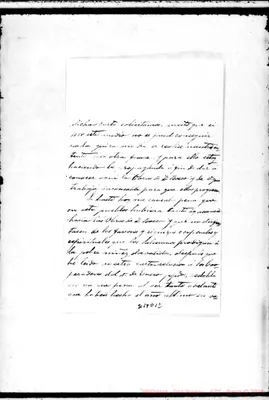 Fotogramma D 12