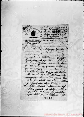 Fotogramma D 11