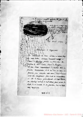 Fotogramma B 3