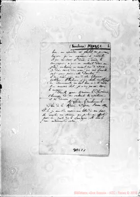 Fotogramma C 1