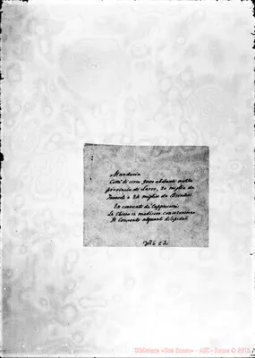 Fotogramma C 2