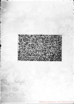 Fotogramma C 11