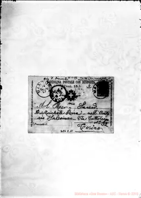 Fotogramma D 11