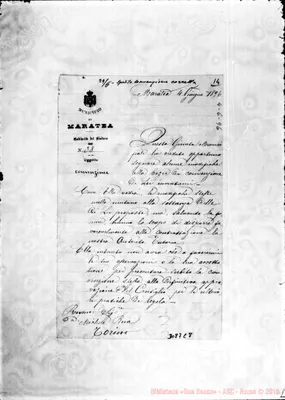 Fotogramma C 8