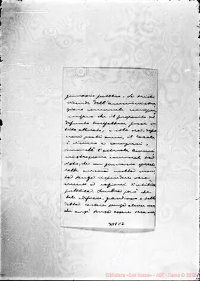 Fotogramma C 2