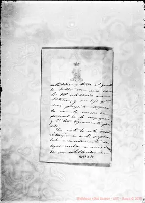 Fotogramma C 10