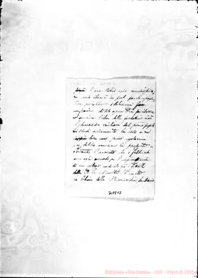 Fotogramma E 7