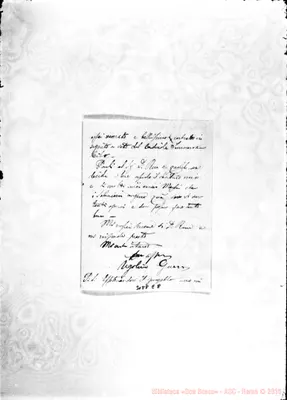 Fotogramma E 8