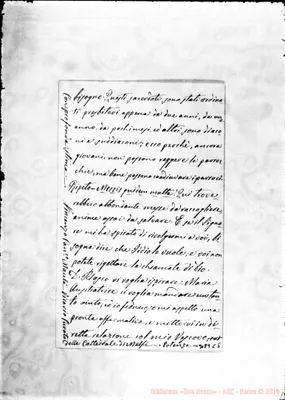 Fotogramma C 5