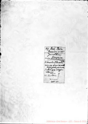 Fotogramma D 9