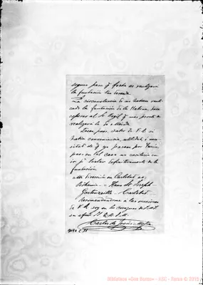 Fotogramma C 11