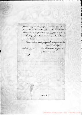 Fotogramma D 11