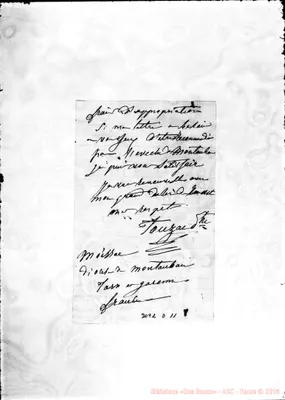 Fotogramma D 11