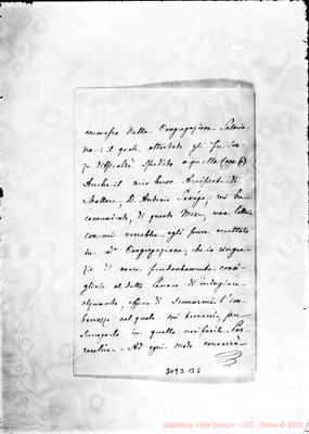 Fotogramma B 6