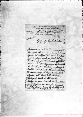 Fotogramma D 3