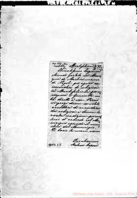Fotogramma C 6