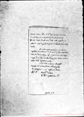 Fotogramma C 2