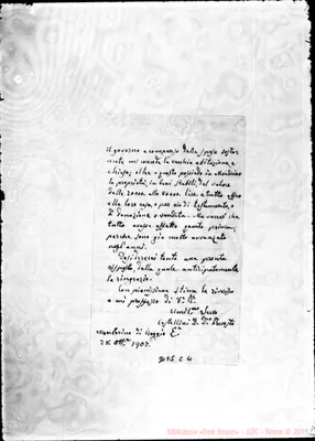 Fotogramma C 4