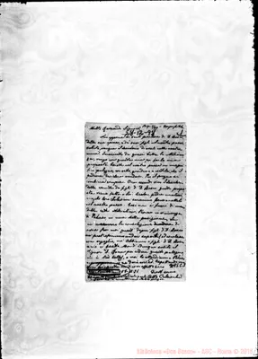 Fotogramma C 5