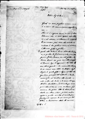 Fotogramma C 5