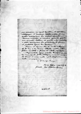 Fotogramma D 11