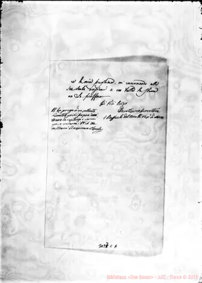 Fotogramma C 6