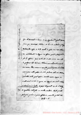 Fotogramma C 11