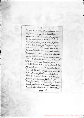Fotogramma C 5